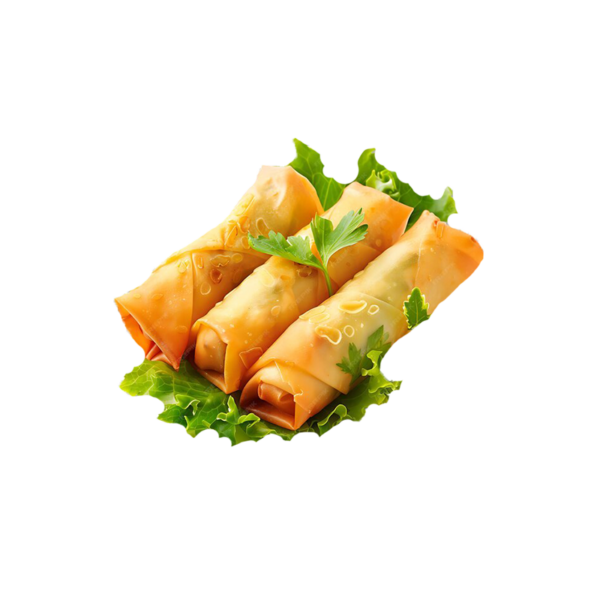 Bricks viande hachée